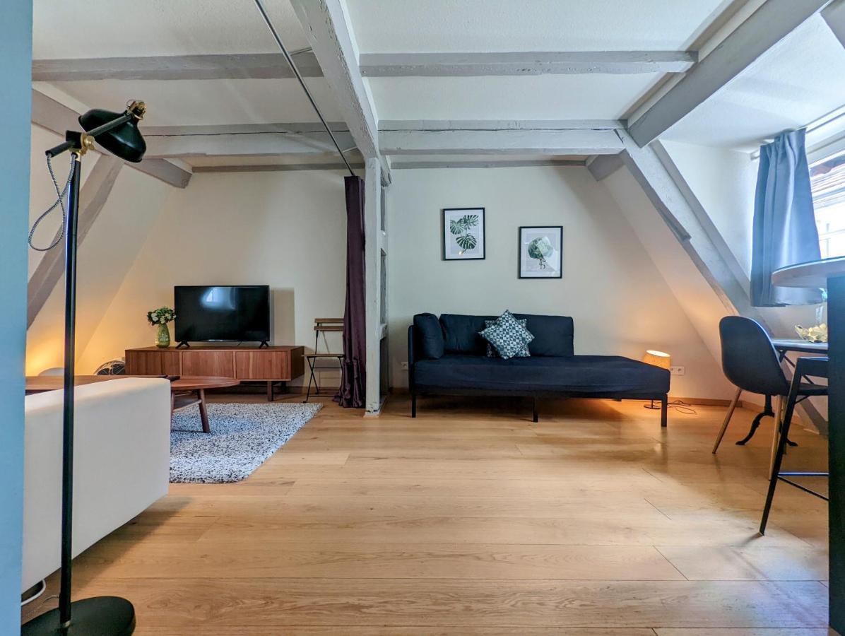 Citycosy Strasbourg - Authentique Batelier Εξωτερικό φωτογραφία